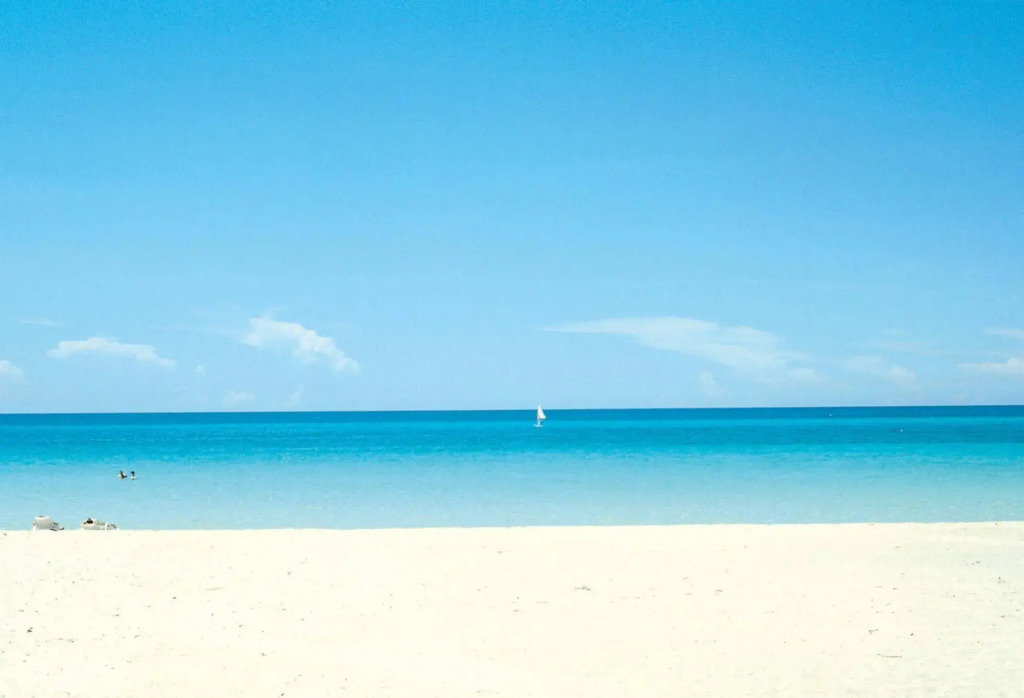 Hotel Riu Festival