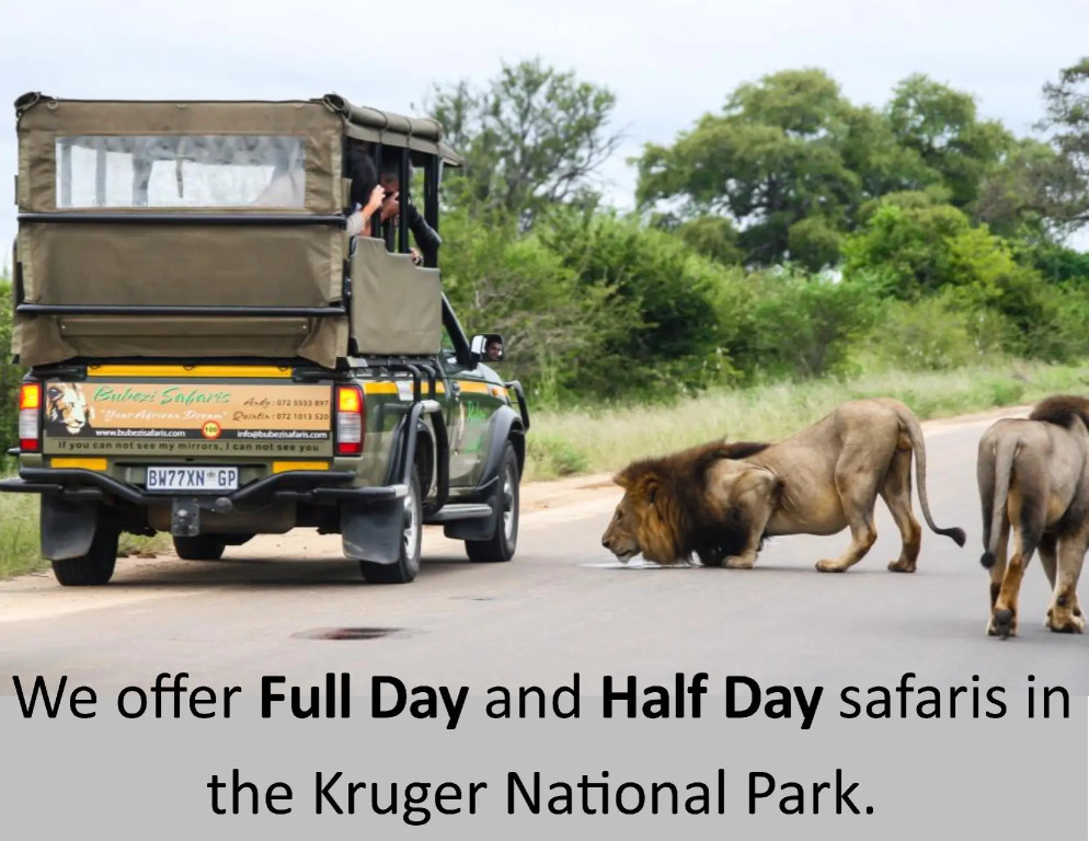 Safari Bed & Breakfast
