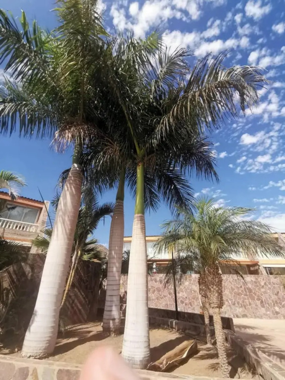 Apartment With 2 Bedrooms in Las Palmas, With Wonderful sea View, Pool Access, Balcony
