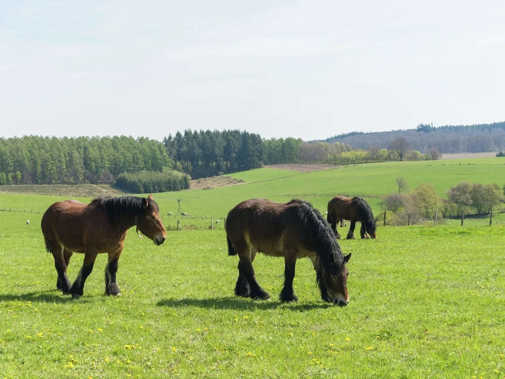 Bièvre Forest-Edge Retreat