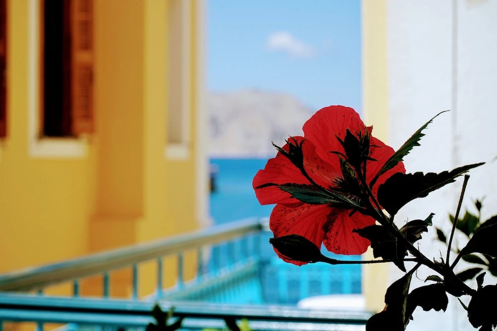 Marikas Deluxe Rooms