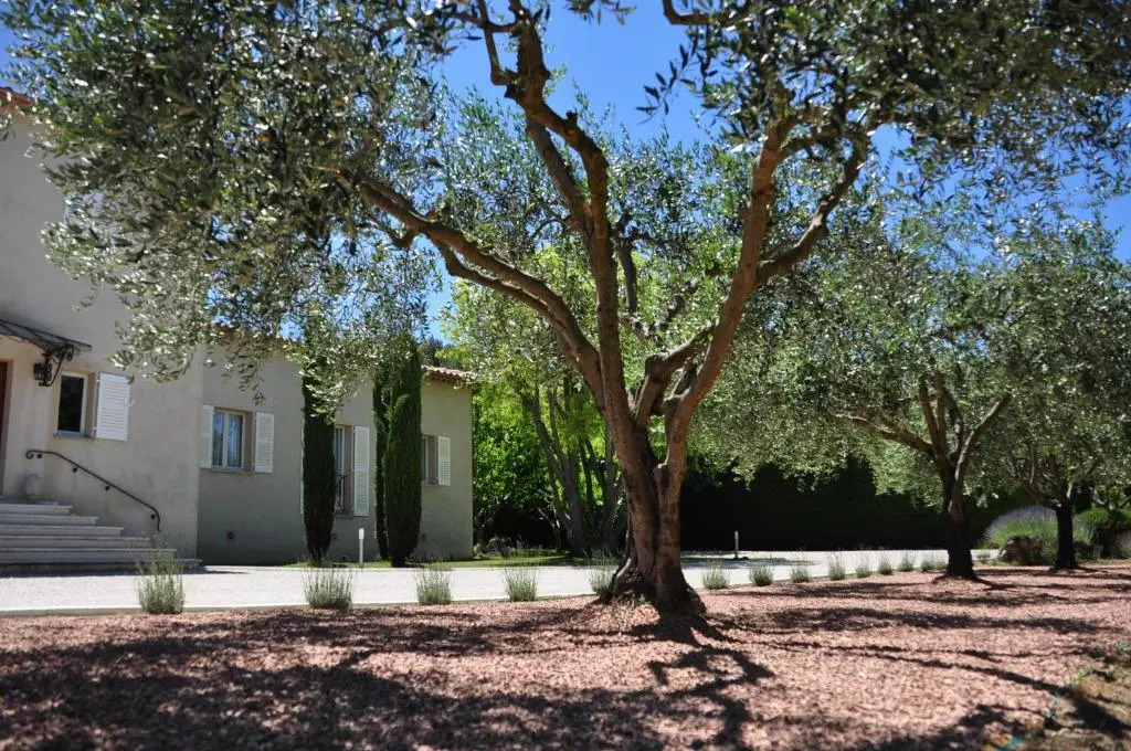 Le Jardin des Amandiers