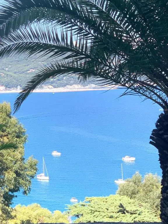 Bellissima Cervo