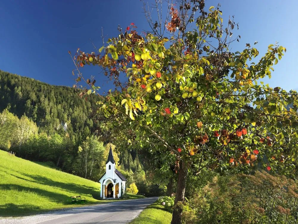Gut Berg Naturhotel