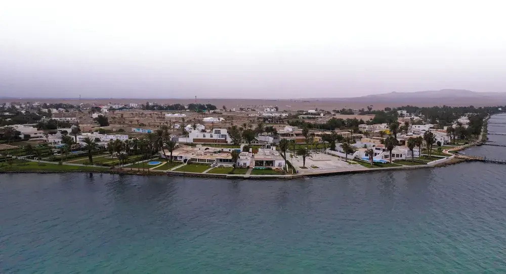Atoq Paracas Reserva