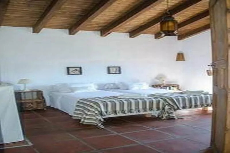 House in Malaga 101913