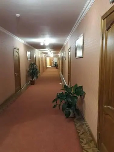 Дружба