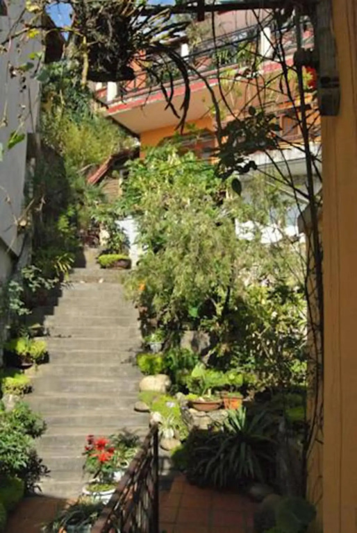 Cat Cat Sunrise Hotel