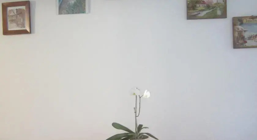 Chez Anita