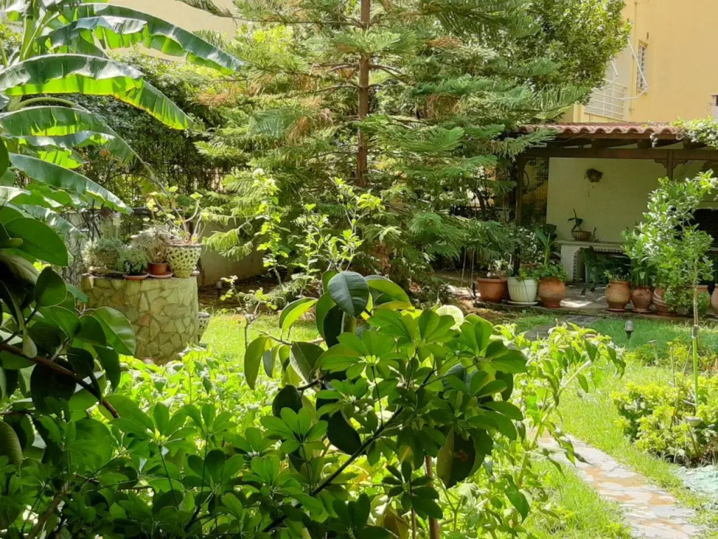 Lovely house