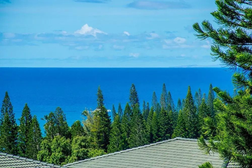 Kapalua Golf Villa 25T4 Gold Ocean View - 2 Br Villa
