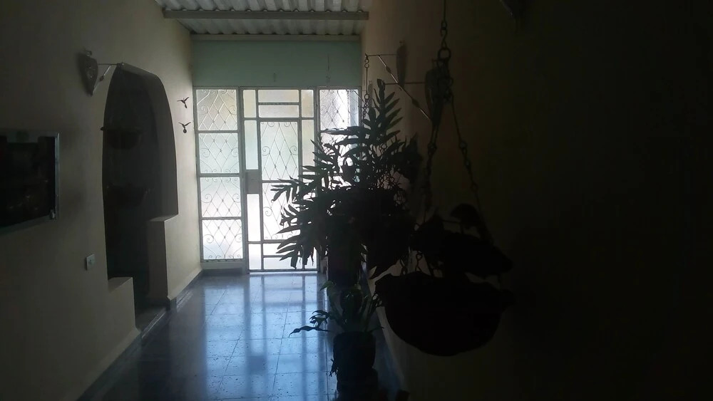 I Colibrí