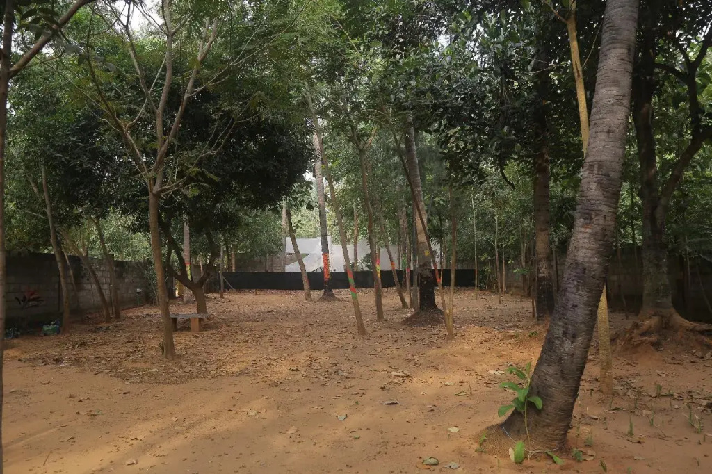 Auro farms