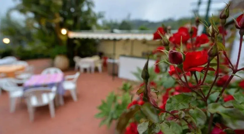 Residence Elvira
