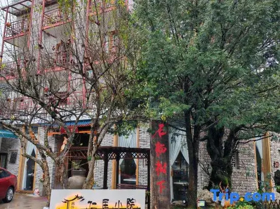 Tadpole guest house