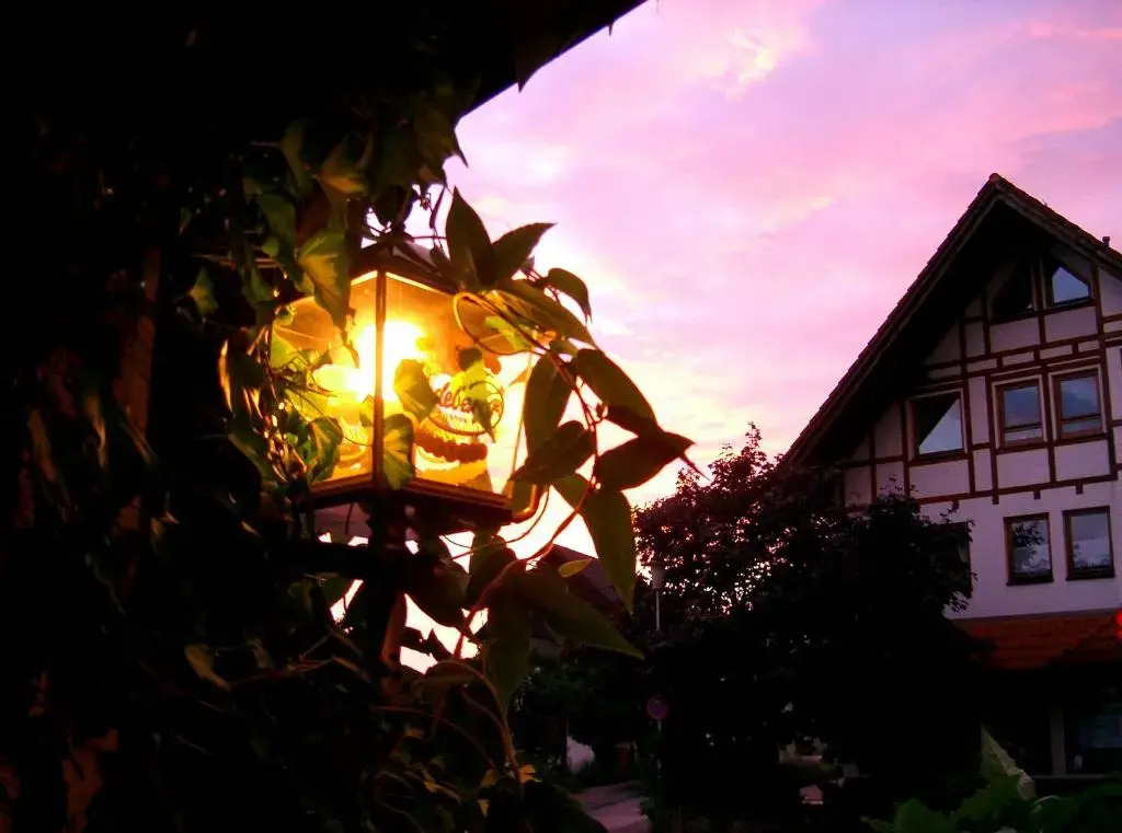 Fritzes Goldener Stern