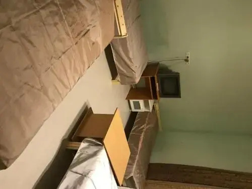 Izmailovsky Hostel