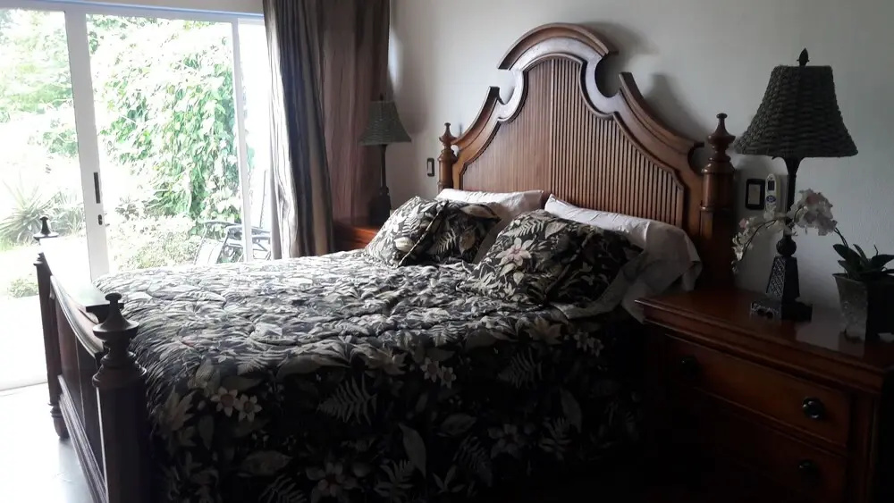 Pura Vida Rental