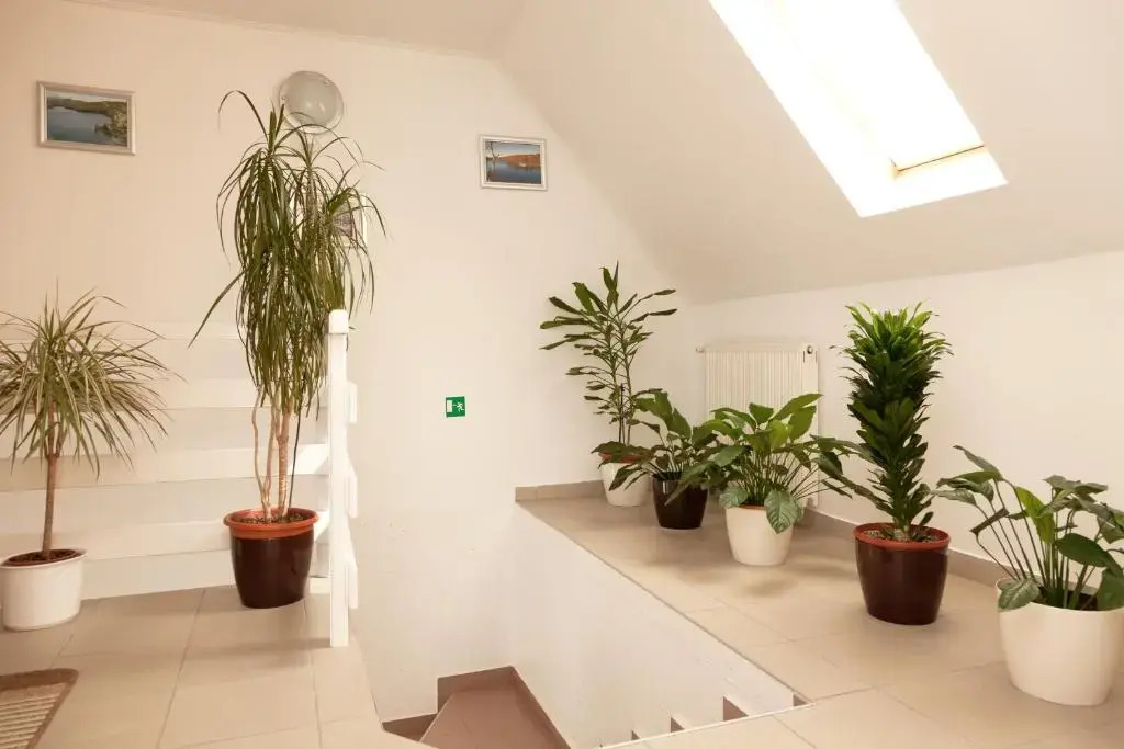 Guest House Ljubica