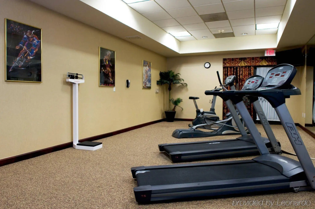 Holiday Inn Express & Suites Irving Conv Ctr - Las Colinas by IHG