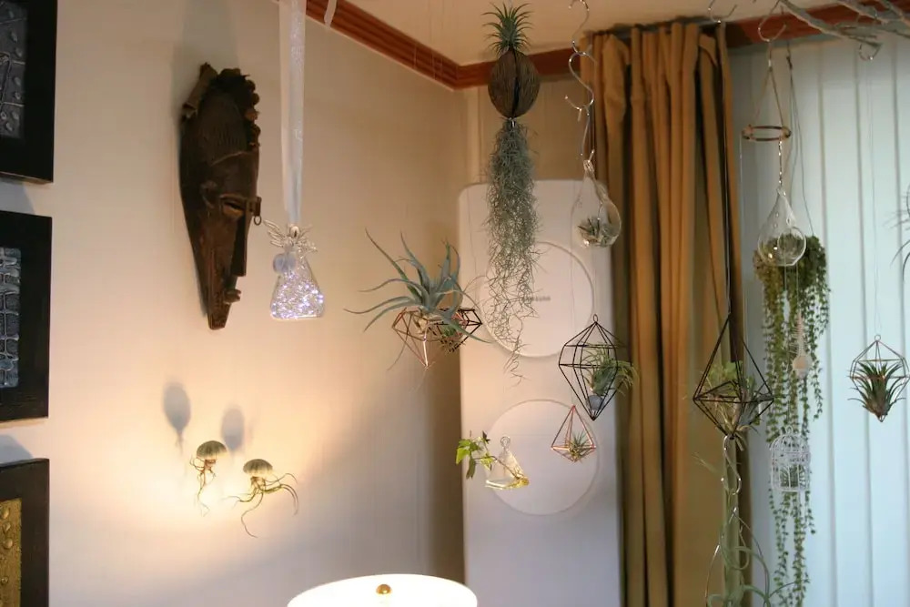 Refee House