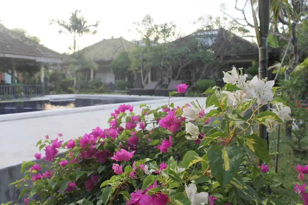 Taman Lilys Hotel