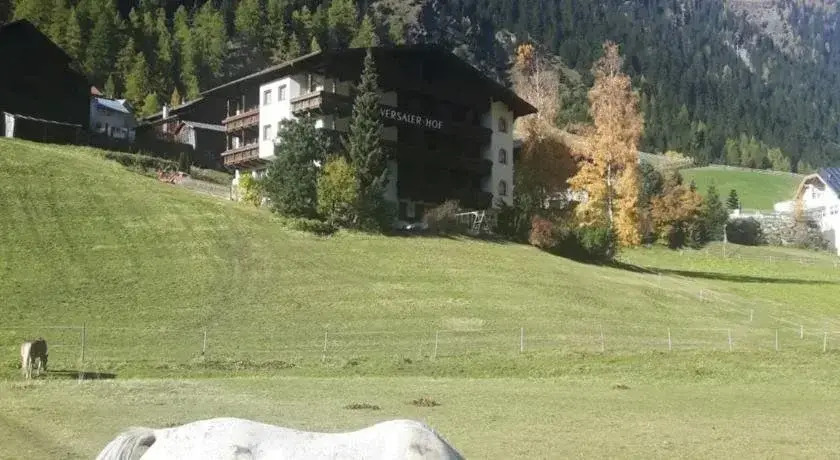 Versalerhof