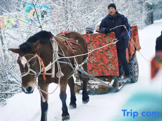 Yabuli Tingxue Xiaozhu Skiing Wenquan Villa