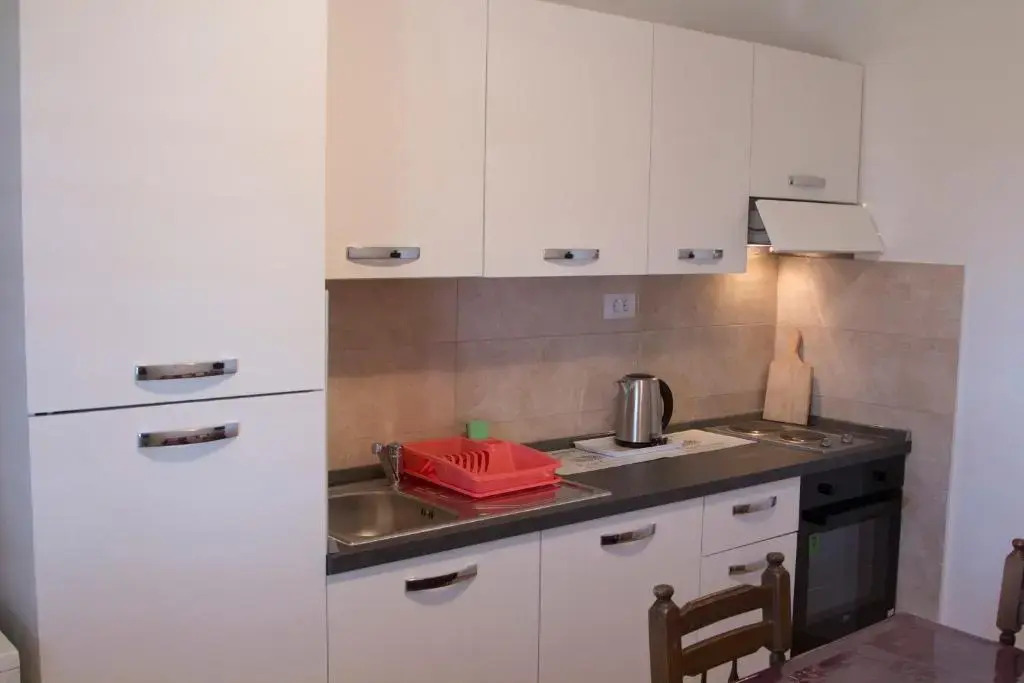 Apartment Viki