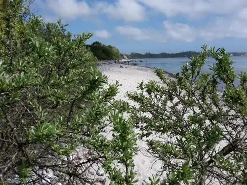 Ferienwohnung 1 - Rügen Findlinge