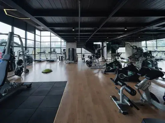 Fengnian Hotel Shenzhen Pingshan High-speed Railway Station (Baolong Subway Station Branch)