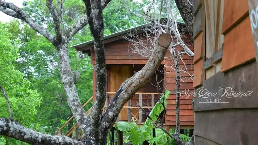 Tree house sigiri queens rest