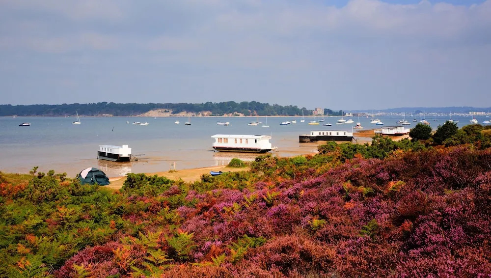 Westcliff Heights