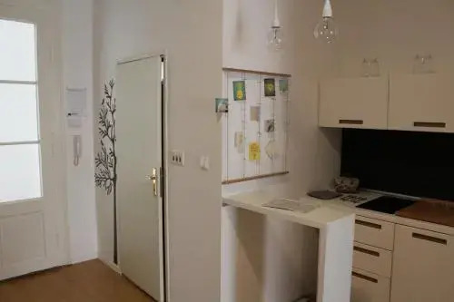 Sasha Apartment