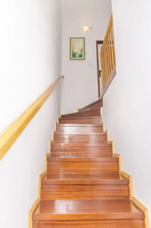 Apartments Dragica
