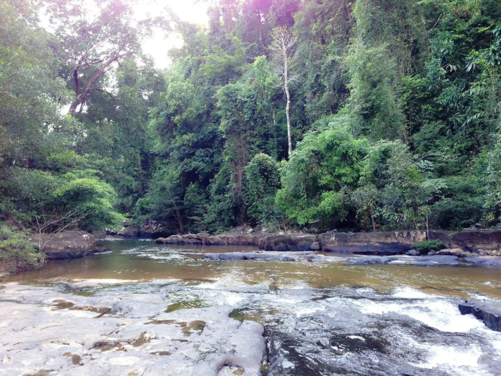 Jungle Koh Kood Resort