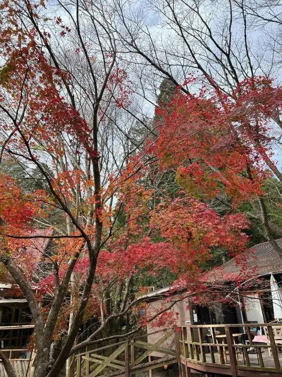 Glamping Himeshara - Vacation STAY 01948v