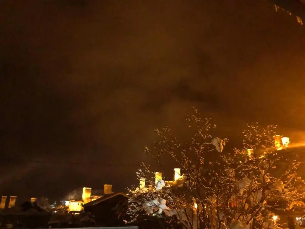 Teonas Guesthouse in Mestia