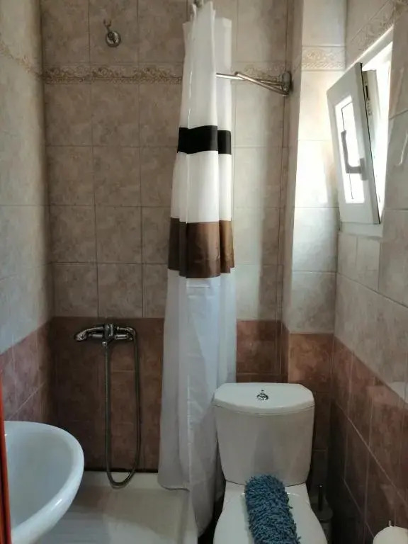 Luxurious Apartment