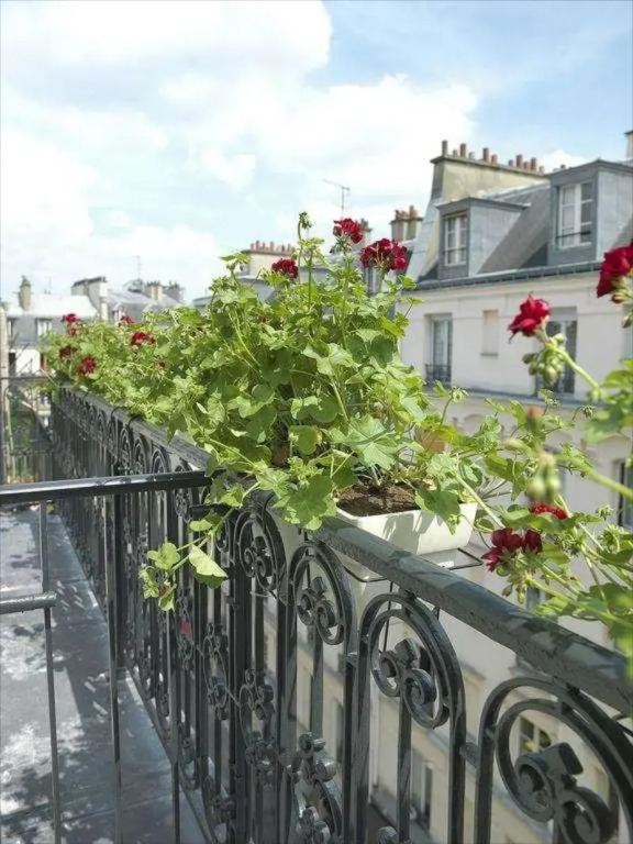 Hôtel Vendome Saint-Germain