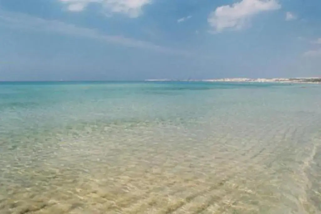21 Via Senigallia