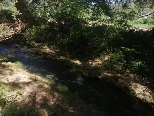 La Riviere