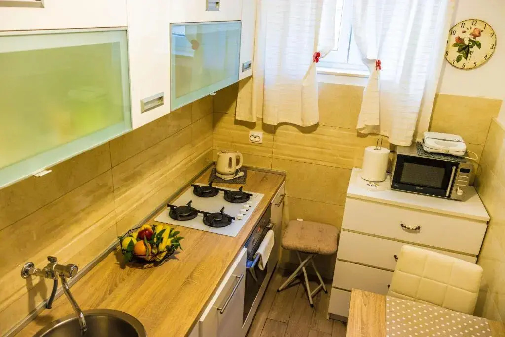 Apartment Rajevac