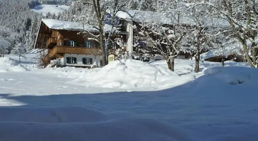 Chalet Bauernhaus