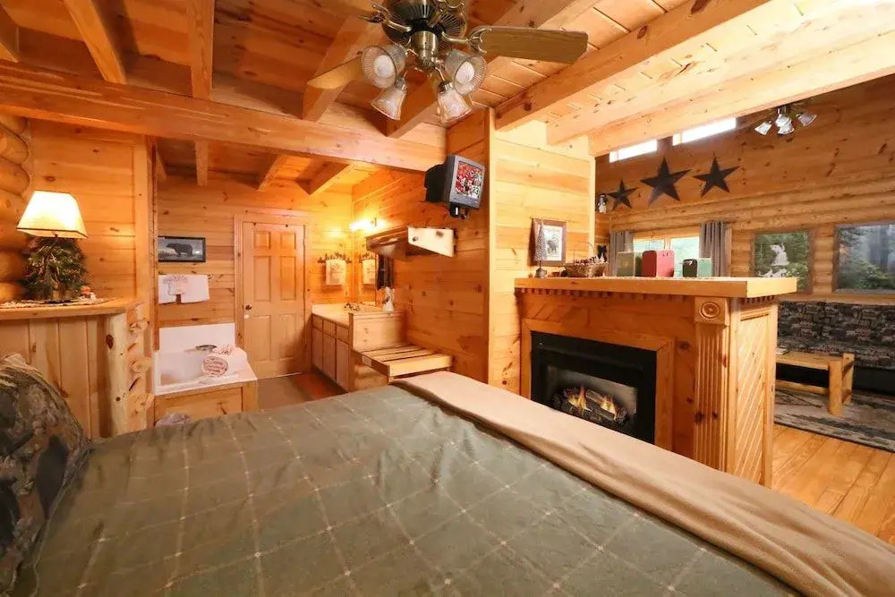 Smoky Cascades 1 Br cabin by RedAwning
