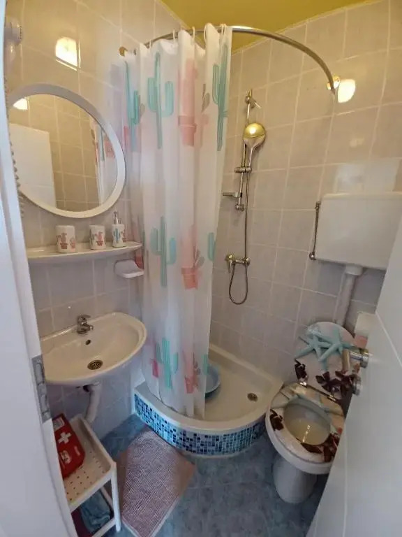 Apartments Sava