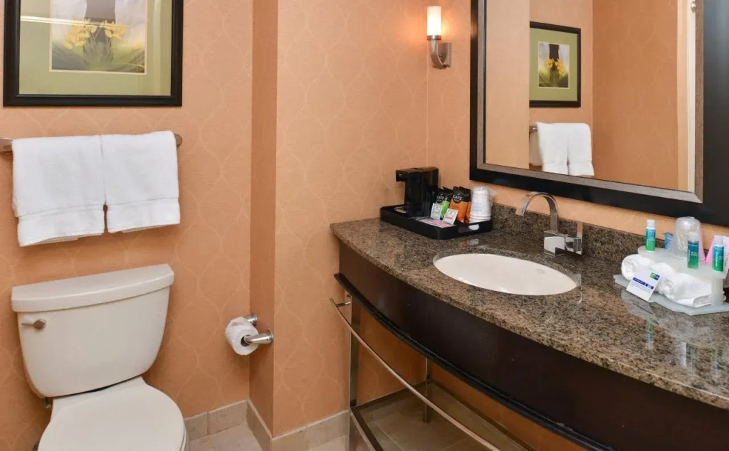 Holiday Inn Express Hotel & Suites Dallas South - DeSoto by IHG