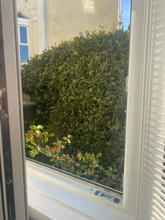The garden flat