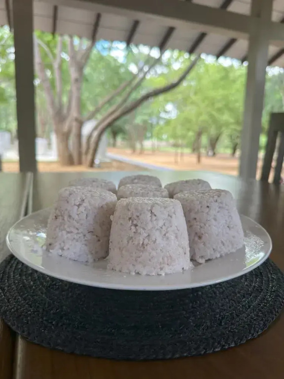 The Den at Yala