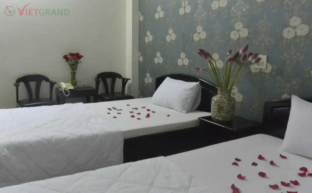 Violet hotel&spa